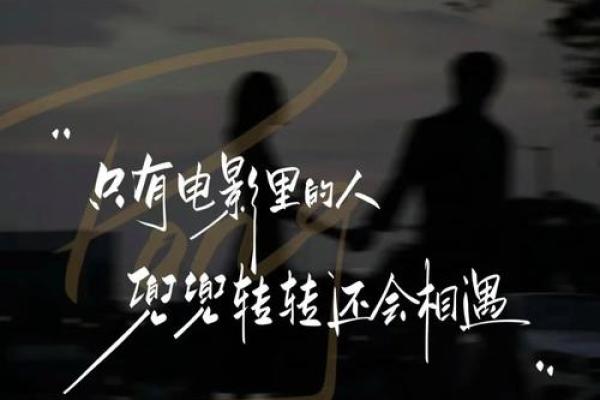 1987年12月4日出生的命运解析：揭示人生的奇妙旅程