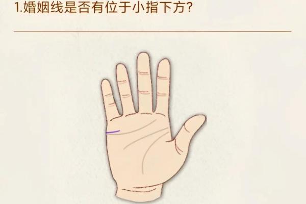 辛酉男命与女命配对解析：揭秘理想婚姻的秘密