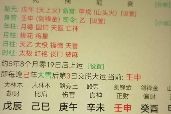 三命五命深度解析：如何选择最佳属性提升运势？