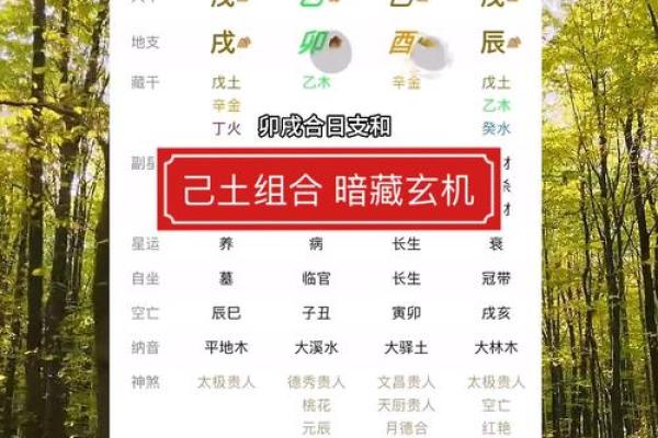 属猪人火命与好运的缘分：寻找适合的命局与搭配
