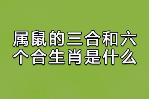 2012年属相解析：揭开属龙人的性格与命运之谜