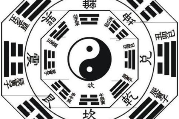1977年的生肖与命理解析：揭示历史与未来的神秘面纱