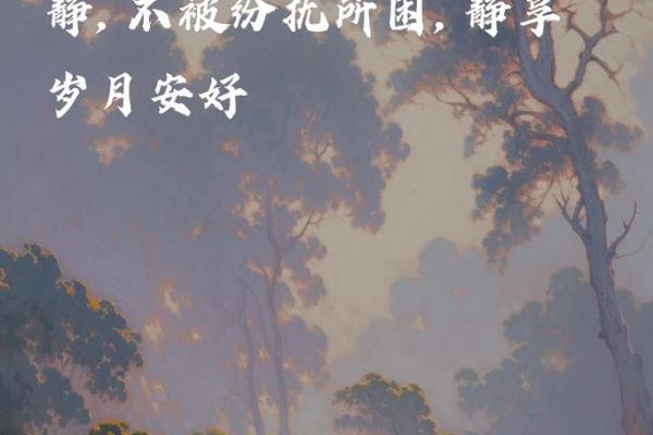 2019年9月出生的人命运解析：性格与未来的精彩旅程