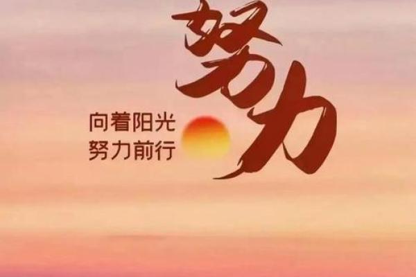2001年桑柘木命：生命哲学与命运的探索之旅