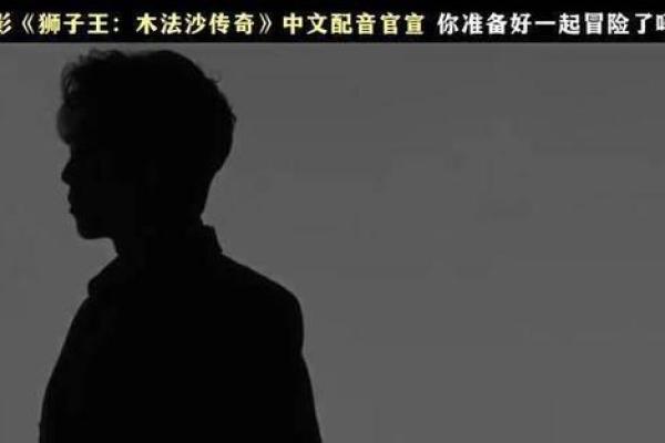 从蝶梦到蜂语，探索人生的奇妙命运之旅