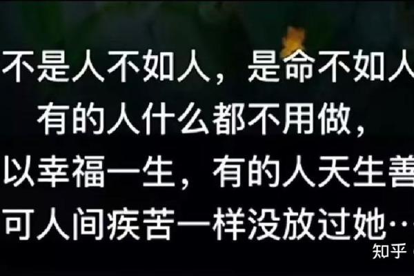 木命人最适合与哪些命人相处？探寻和谐之道