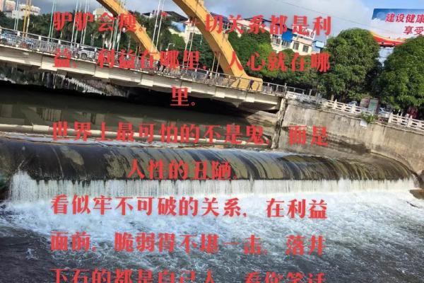 为什么驴的命都比我命金贵：社会的冷漠与人性的思考