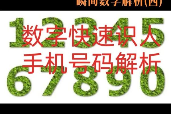 2020526是什么命？探寻数字背后的命理奥秘与人生方向