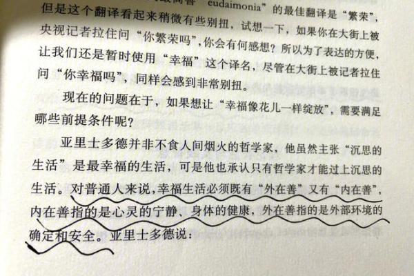 13937年命运之轮的背后：探讨生活与选择的哲学