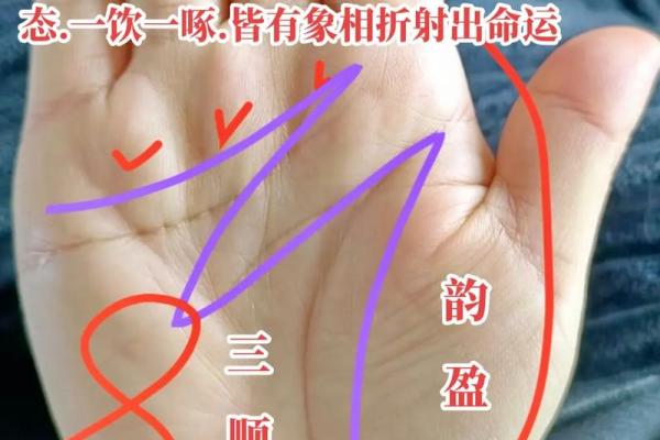 2023年命理解析：解密命运背后的秘密与智慧