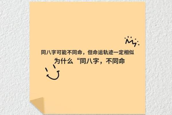2000年5月20日出生的人生轨迹解析与命运特点