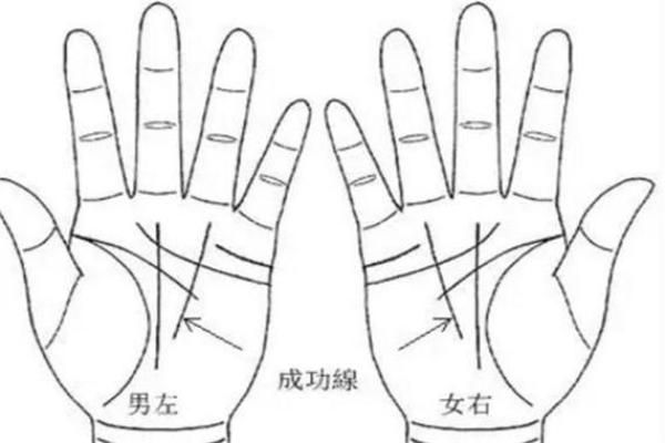 解读手相：如何辨认童子命男的特征与命运