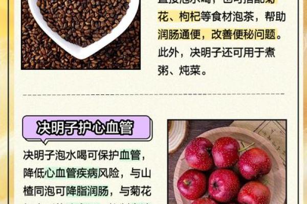 肺脾命的奥秘：探索身心健康与生命之源的关系