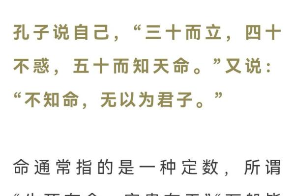 探索三命与五命的奥秘：人生的指引与智慧