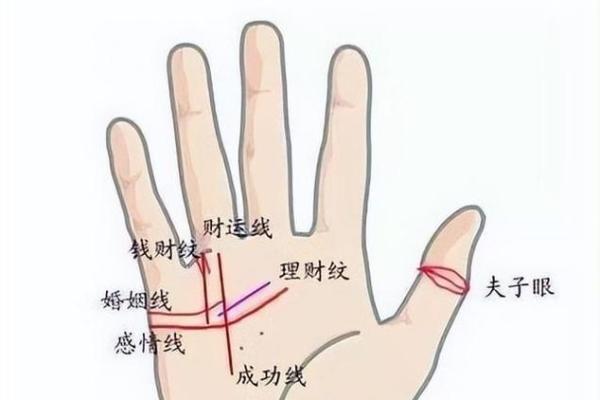 揭示命运：面相解读中的倒霉特征与改善之道