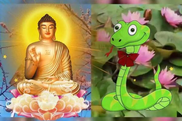 解析1987年属蛇人的命运与性格特征：智慧与机遇的结合