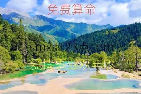 算命先生看女命：深度解析命理之美与人生启示