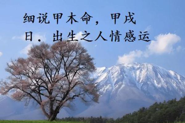一九九五年：命理中的木命与人生的深刻启示