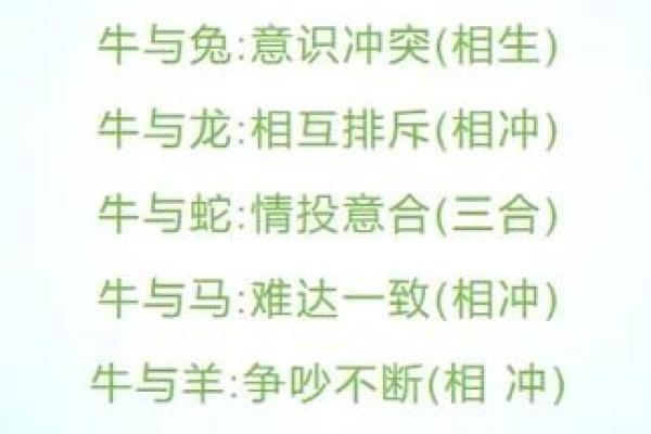 生肖男女的命运解析：十二生肖与性别的深刻关联