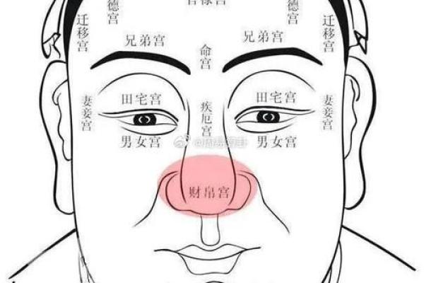 鼻子的位置决定你的命运，揭秘面相学中的鼻子含义！