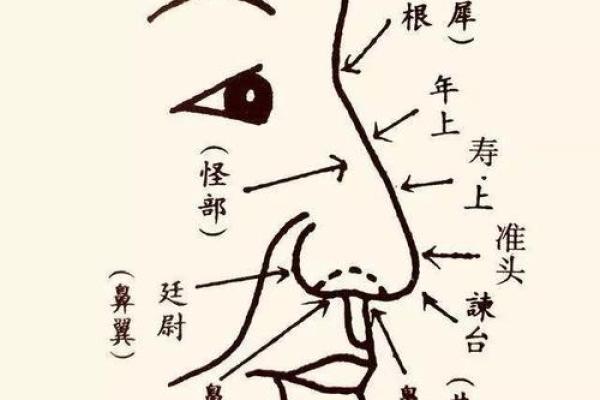 鼻子的位置决定你的命运，揭秘面相学中的鼻子含义！