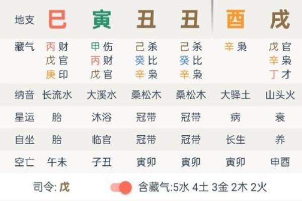 癸巳命格深度解析：探寻命理中的神秘力量与人生智慧