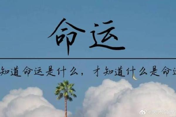 2029年命理解析：把握命运的钥匙与未来的机遇