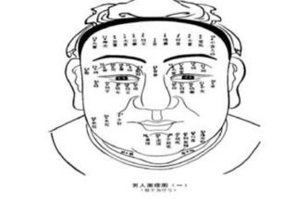 揭示命运的秘密：阴骘纹面相解析与人生轨迹的关系