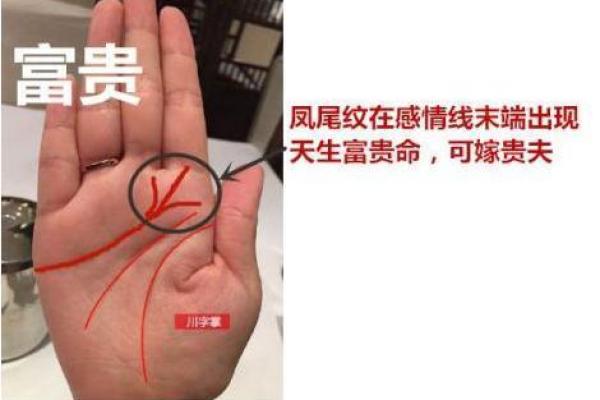 享福命与富贵命：命运中的不同财富之路