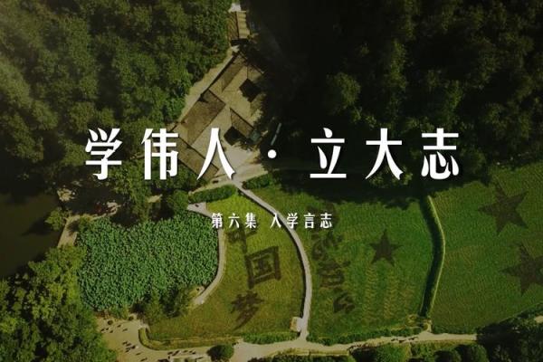1994年3月5日出生的命运解析：探寻生命的奥秘与未来的可能性