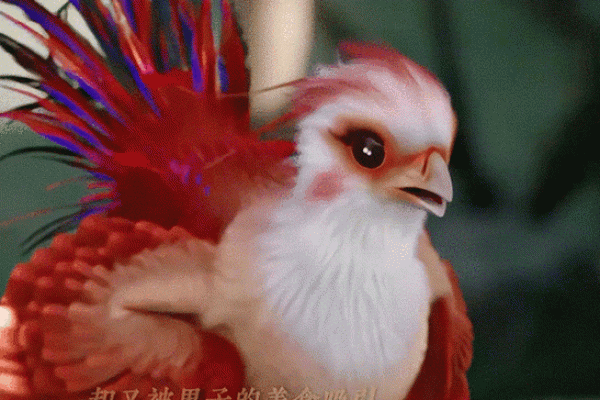 命理探秘：20010802出生的人的命运解析与生活启示