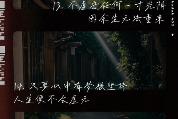 解读19921106命运密码：人生的光辉与挑战之路