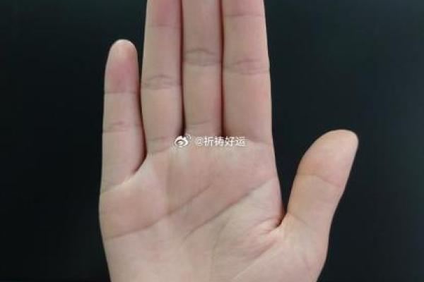 19961116出生的人生运势与性格解析