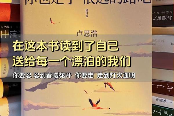 1884年命理分析：探寻人生旅途中的深意与智慧