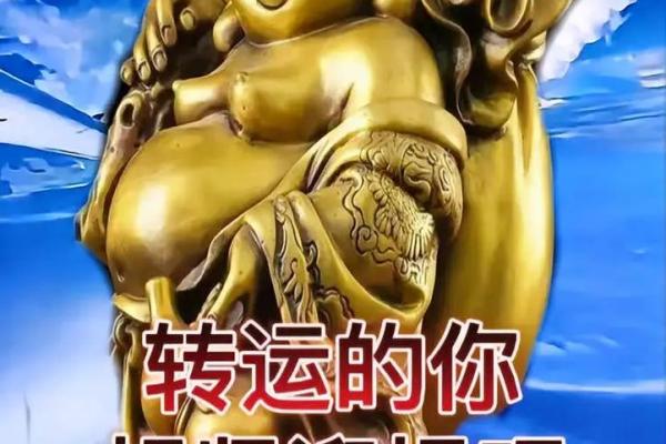 探秘命运：从财变格命的深刻内涵与启示