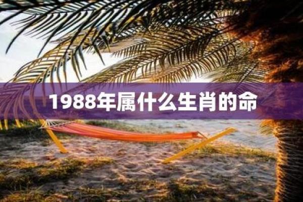 96年出生的生肖与命运解析：一生的幸运与挑战
