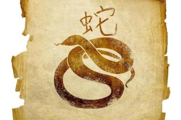 探秘五鬼之命：命格解析与运势影响