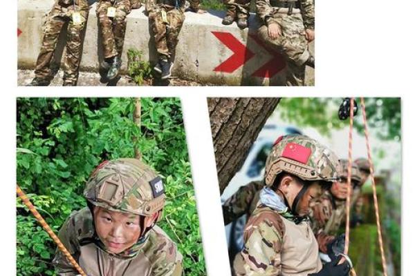 命与运：探寻“文命”与“武命”的生命哲学之路