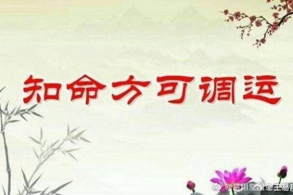 神女下坠命格：探寻命运之美与人生智慧