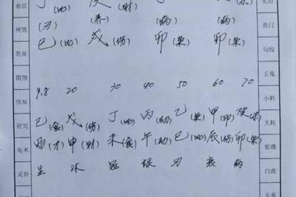 探索属蛇人的命运之谜：五行解析与缺失探讨