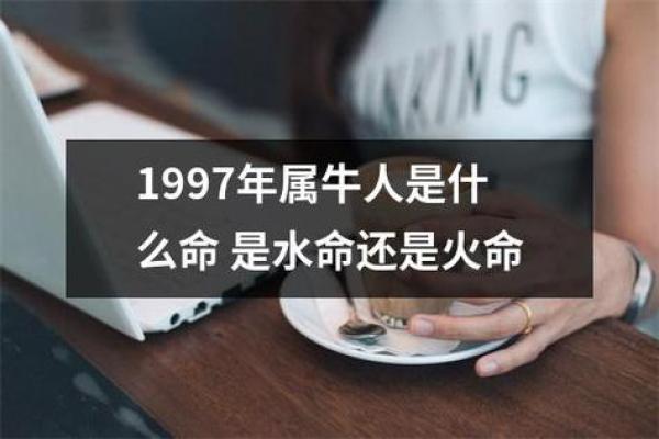 火命与木命：命理中的和谐与冲突探秘