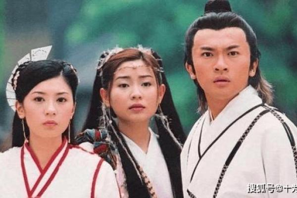 倚天屠龙，剑影悠然：在纷争中探寻绝美人生