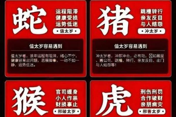 1980年出生的人命运解析：属猴的你拥有哪些独特的命理特征？