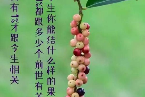 20210217：深入解析这一天的命理意义与影响