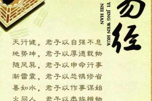 数什么什么数，探寻成语背后的智慧之源