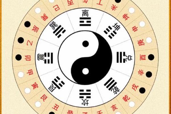 探秘命理学：酉金命格的特征与命运解析
