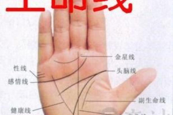 1987117：独特命理解析，揭开你的命运之谜！
