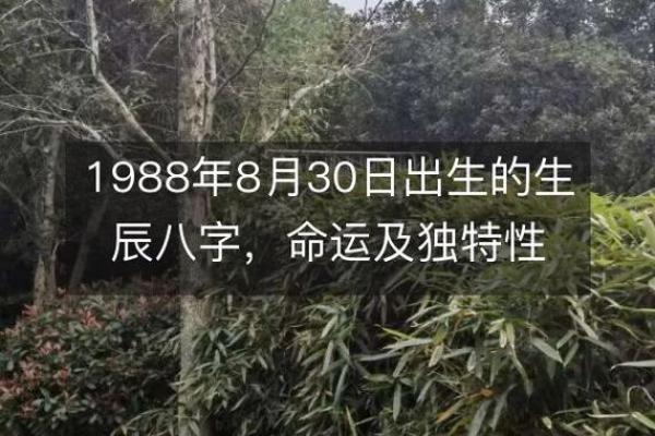 2018年农历12月出生的人命运解析与性格特点
