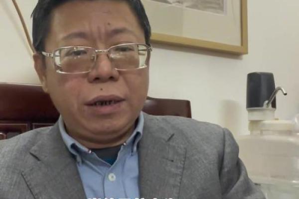 2019年属猪的命运与人生导航：从传统到现代的深度解析