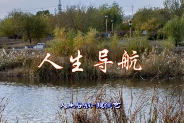 2019年属猪的命运与人生导航：从传统到现代的深度解析